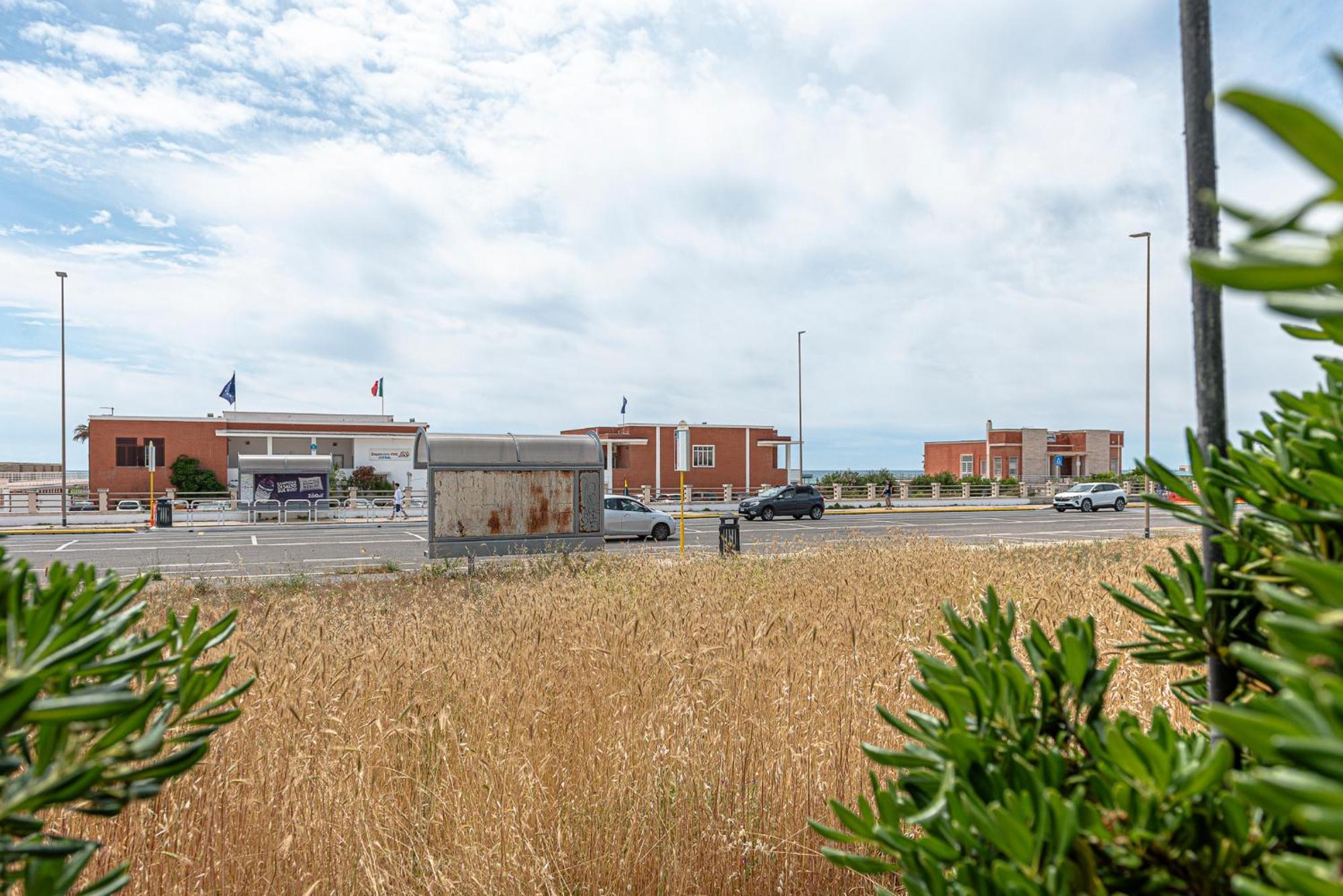 Villino Dei Coralli Lido di Ostia Ngoại thất bức ảnh