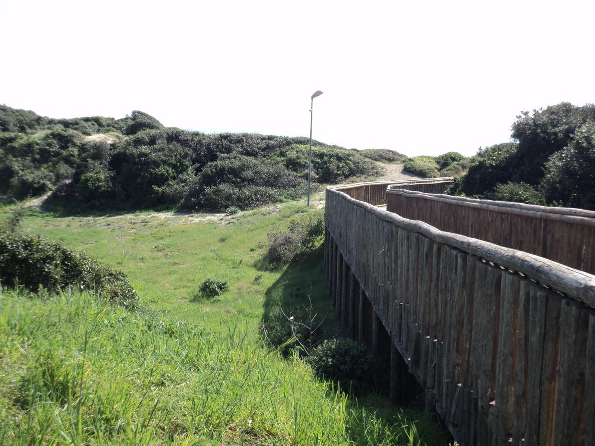 Villino Dei Coralli Lido di Ostia Ngoại thất bức ảnh