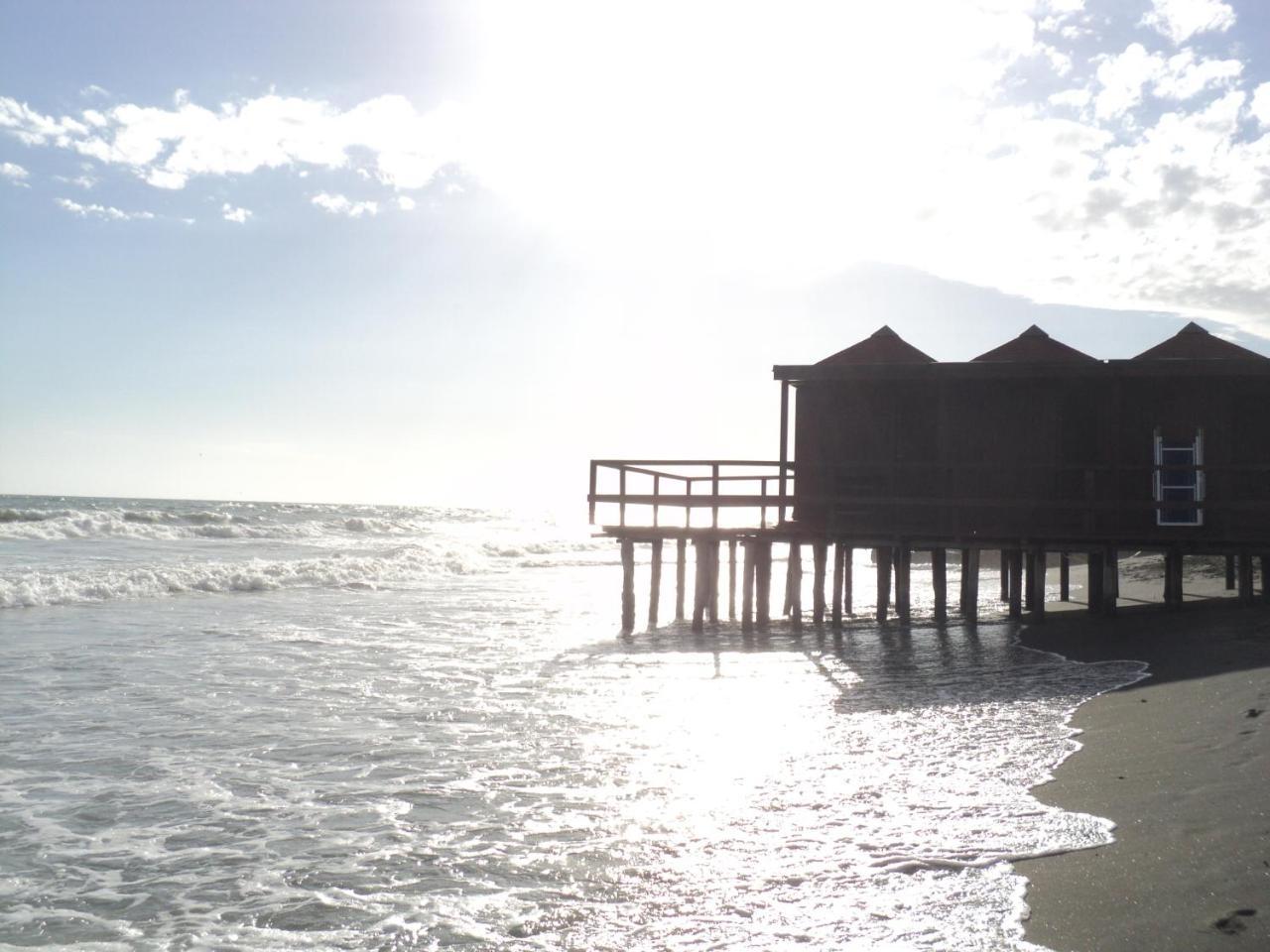 Villino Dei Coralli Lido di Ostia Ngoại thất bức ảnh